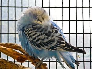 3506213355_0d746bea21_o